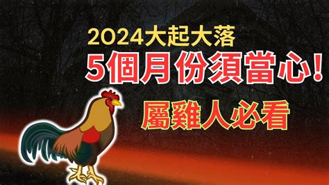 1969屬雞2024運勢|1969年属鸡人2024年运势及运程男，69年55岁生肖。